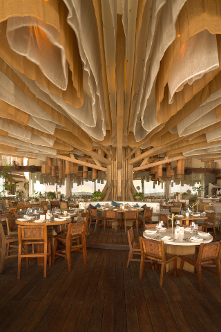 Interior view of a unique Cancún restaurant designed around a large, central tree-like wooden structure, with a dramatic, flowing fabric ceiling installation. The dining area features set tables with woven chairs on a dark wood floor, showcasing capacity for large groups. This highly stylized venue is excellent for MICE industry gala dinners, unforgettable incentive travel closing events, and corporate banquets seeking a signature, memorable setting.
